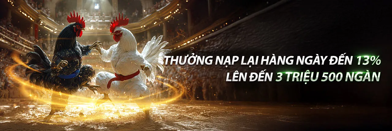 Đá gà trực tuyến shhbet 2026 với những trận đấu kịch tính